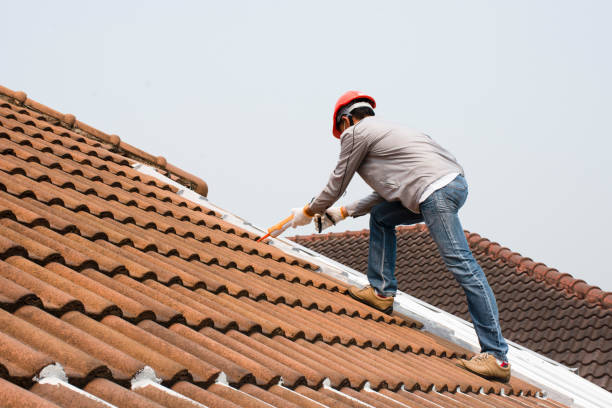 Best Skylight Installation and Repair  in Guerneville, CA